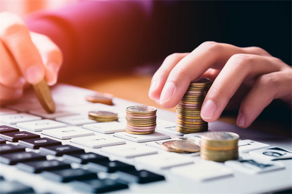 湖北江陵：聚焦“六类国有资源”“五类国有资产”的盘活利用 确保资源资产配置效益最大化