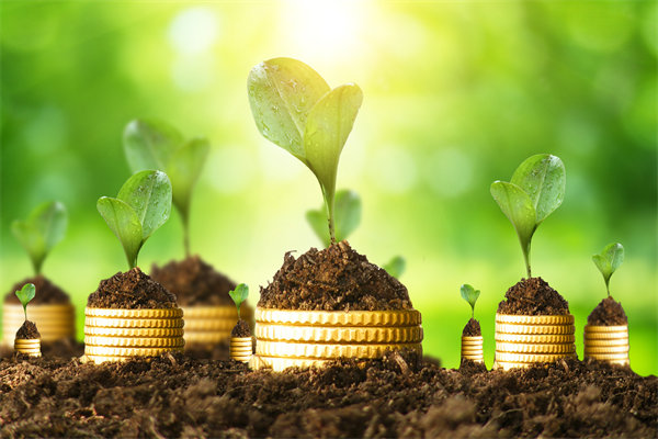 股市里的等级分层